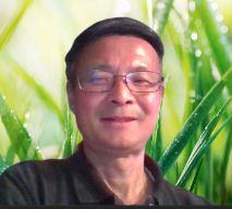 Ping Fang